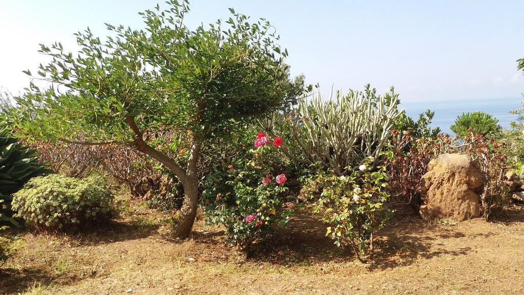 Villa La Rosa Pecorini Esterno foto